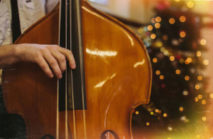 Double-bass-photo